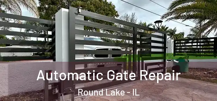  Automatic Gate Repair Round Lake - IL