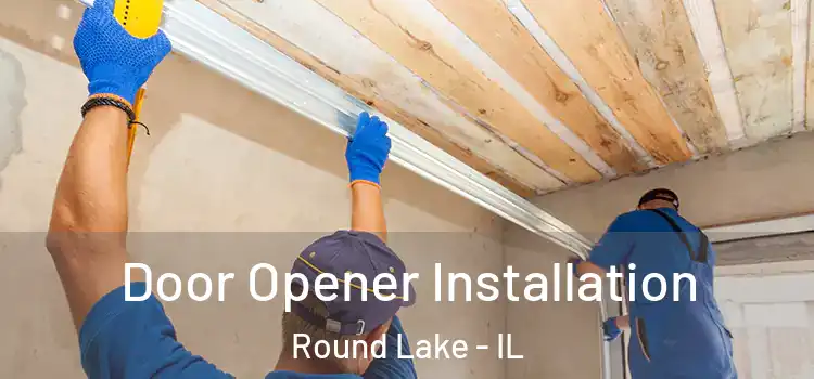  Door Opener Installation Round Lake - IL