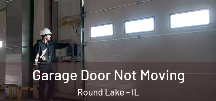  Garage Door Not Moving Round Lake - IL