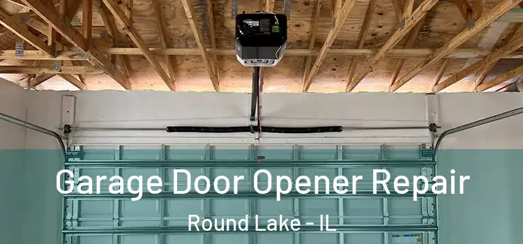  Garage Door Opener Repair Round Lake - IL