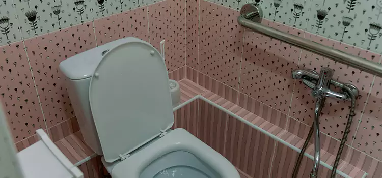 Meeting Diverse Needs With Accessible Restroom Solutions in Round Lake, IL