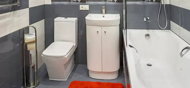 Hansgrohe Shaving Mirror Round Lake