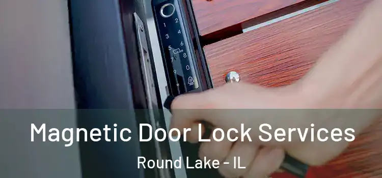 Magnetic Door Lock Services Round Lake - IL